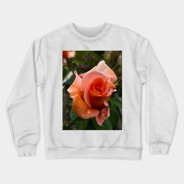 The Orange Rose with Dew Crewneck Sweatshirt by PictureNZ